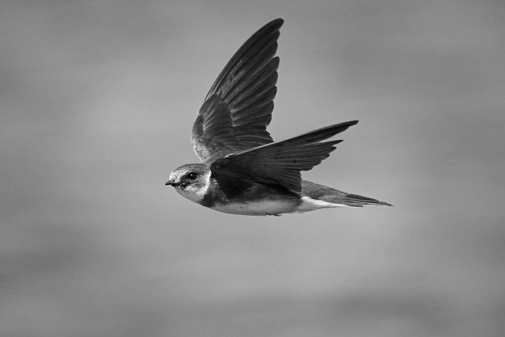 Photograph by Mikhail Khmelevskiy