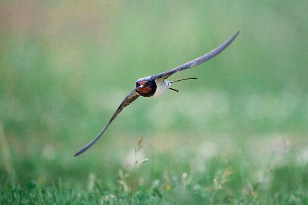 Photograph by Mikhail Khmelevskiy