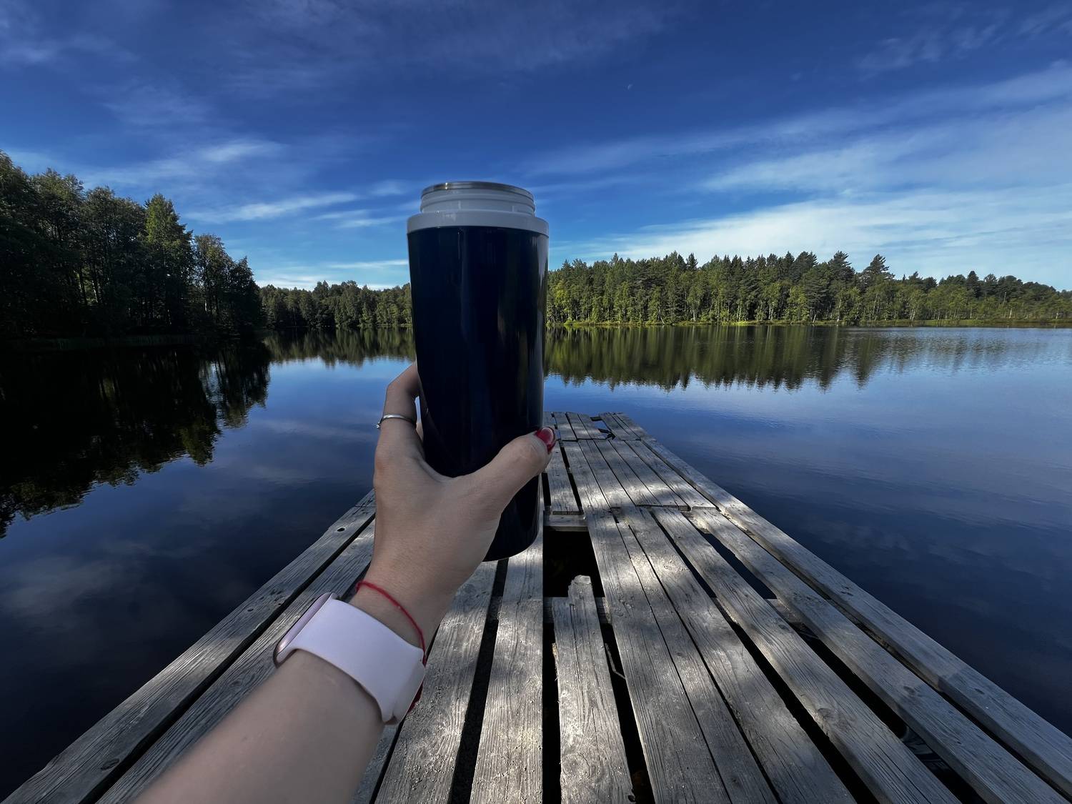 Утро на берегу дикого озера в лесу