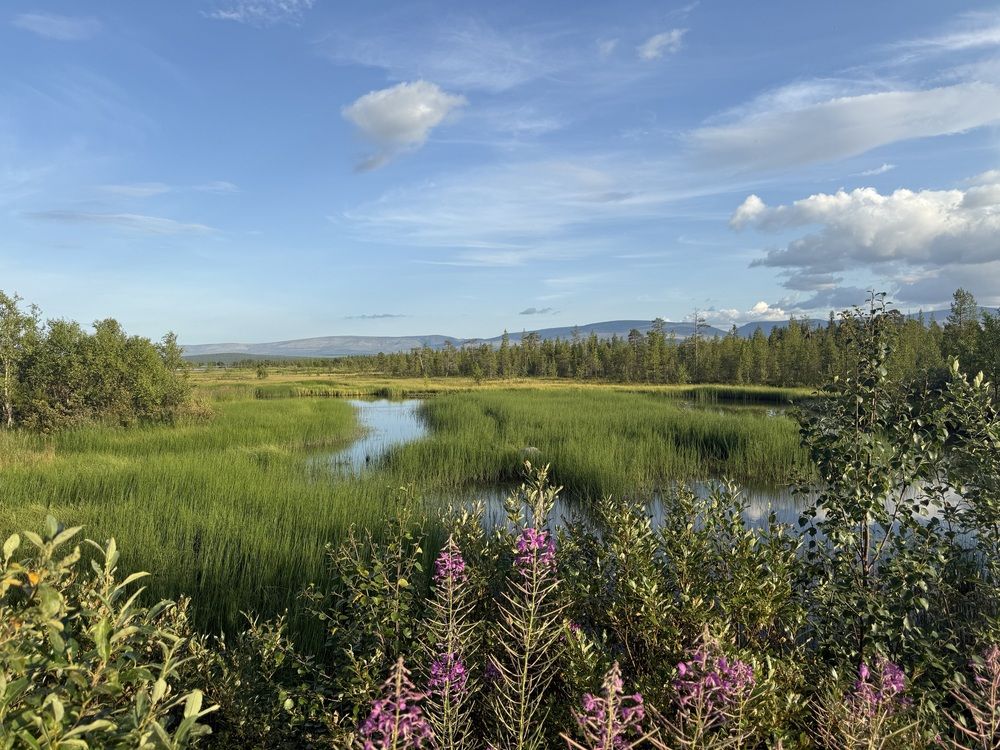 Русский Альпэн