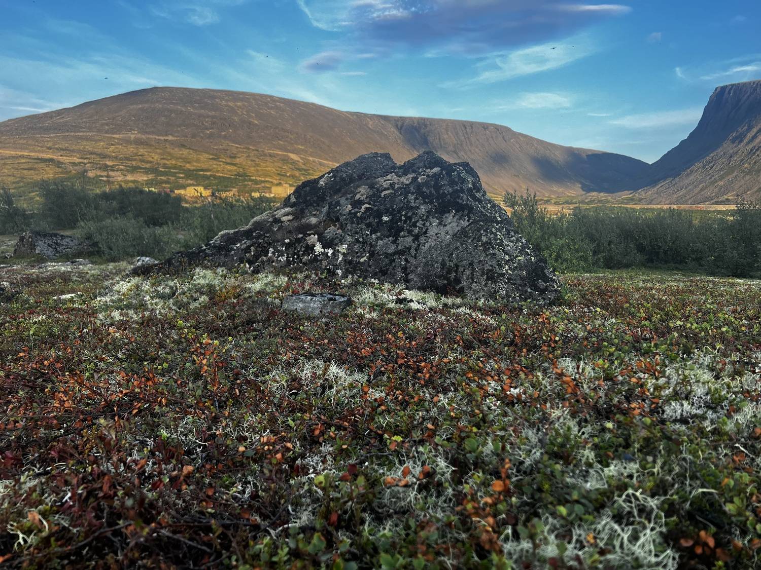 Ловозёрская тундра