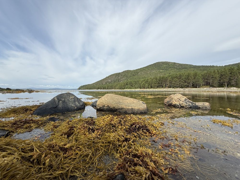 Дикая природа русского севера