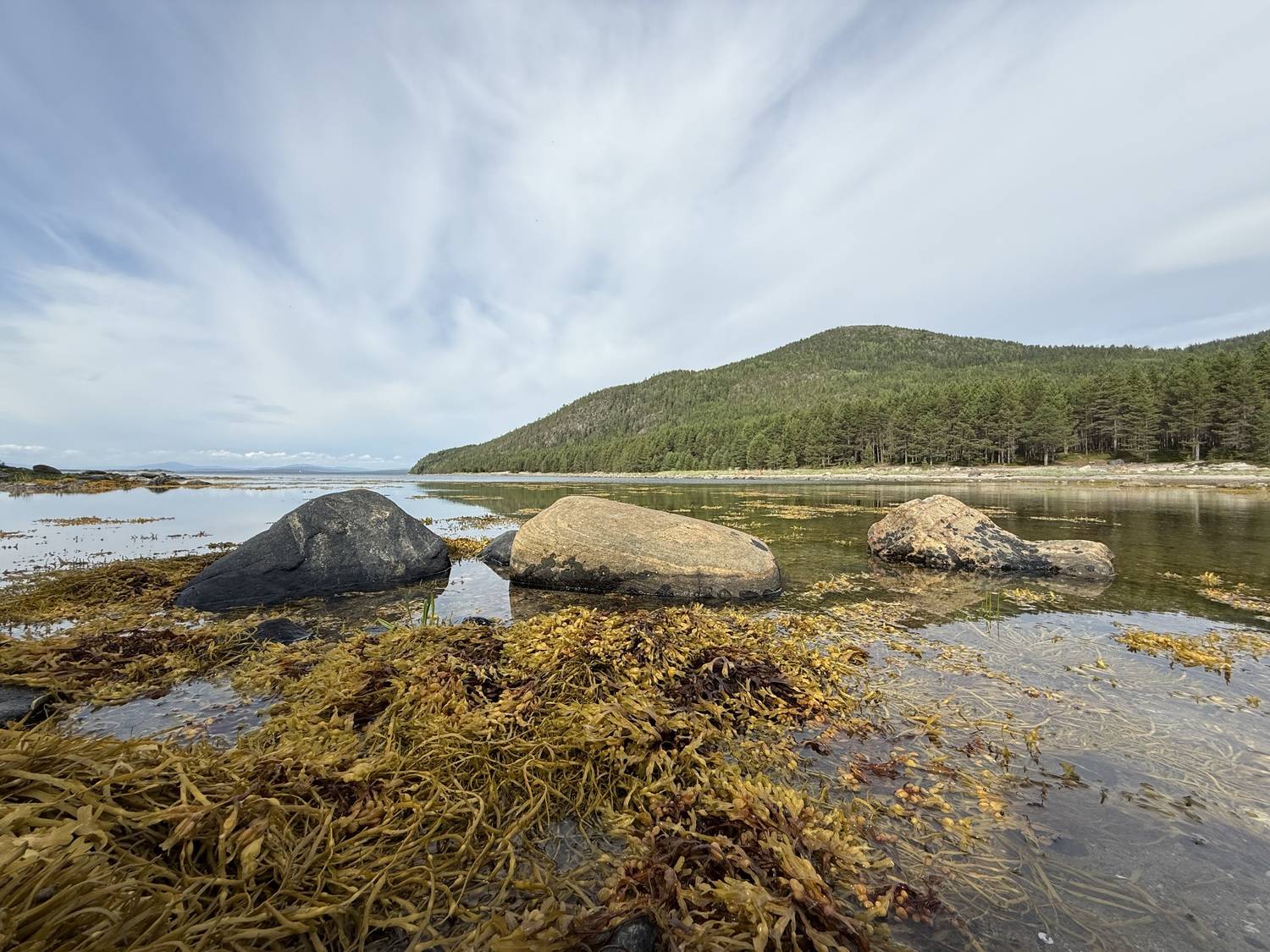 Дикая природа русского севера