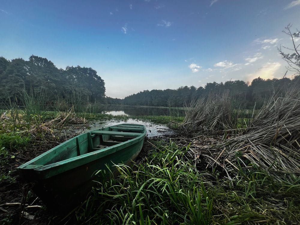 В ожидании русалки
