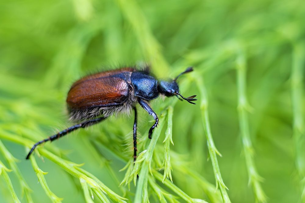 Photograph by Михаил Косолапов