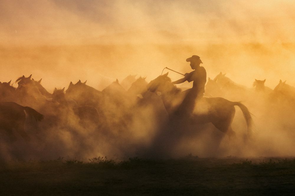 Photograph by ibrahim UTANIR