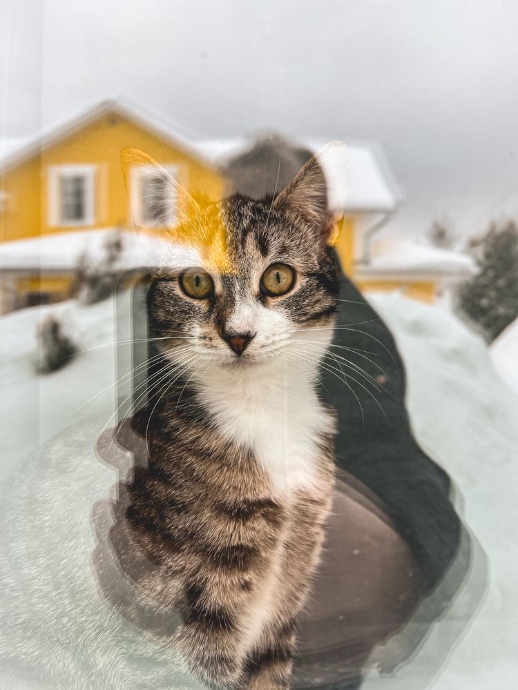 Photograph by Игорь Толкачев