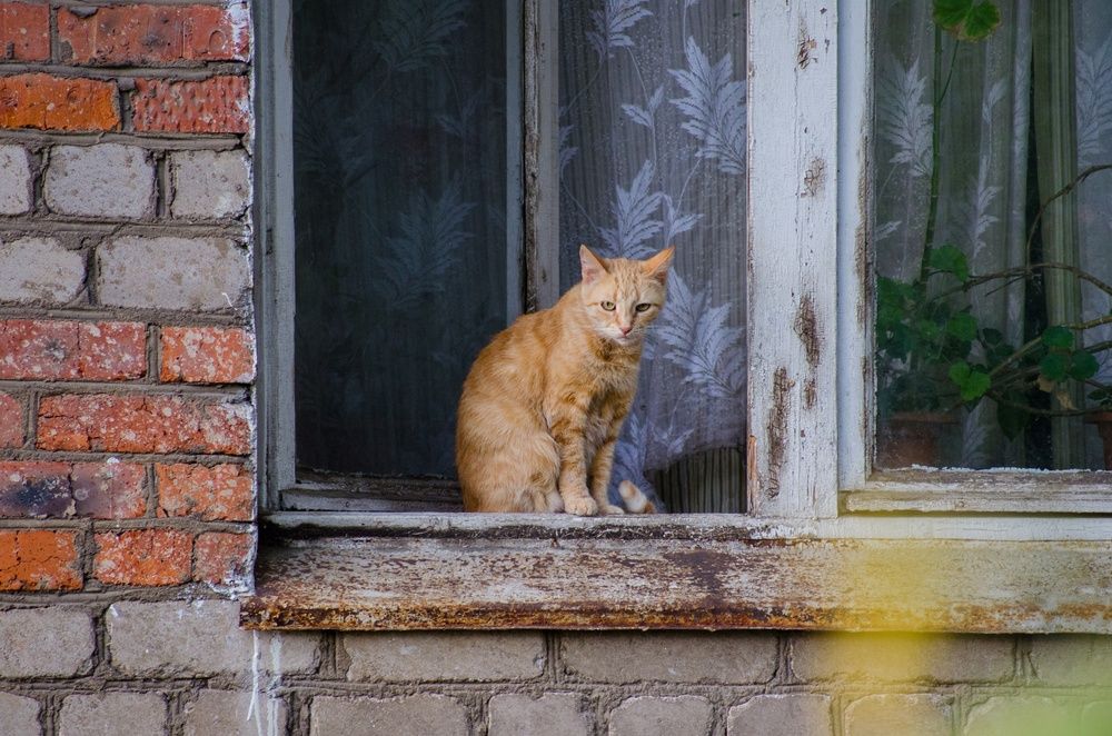 Photograph by Татьяна Жиркина