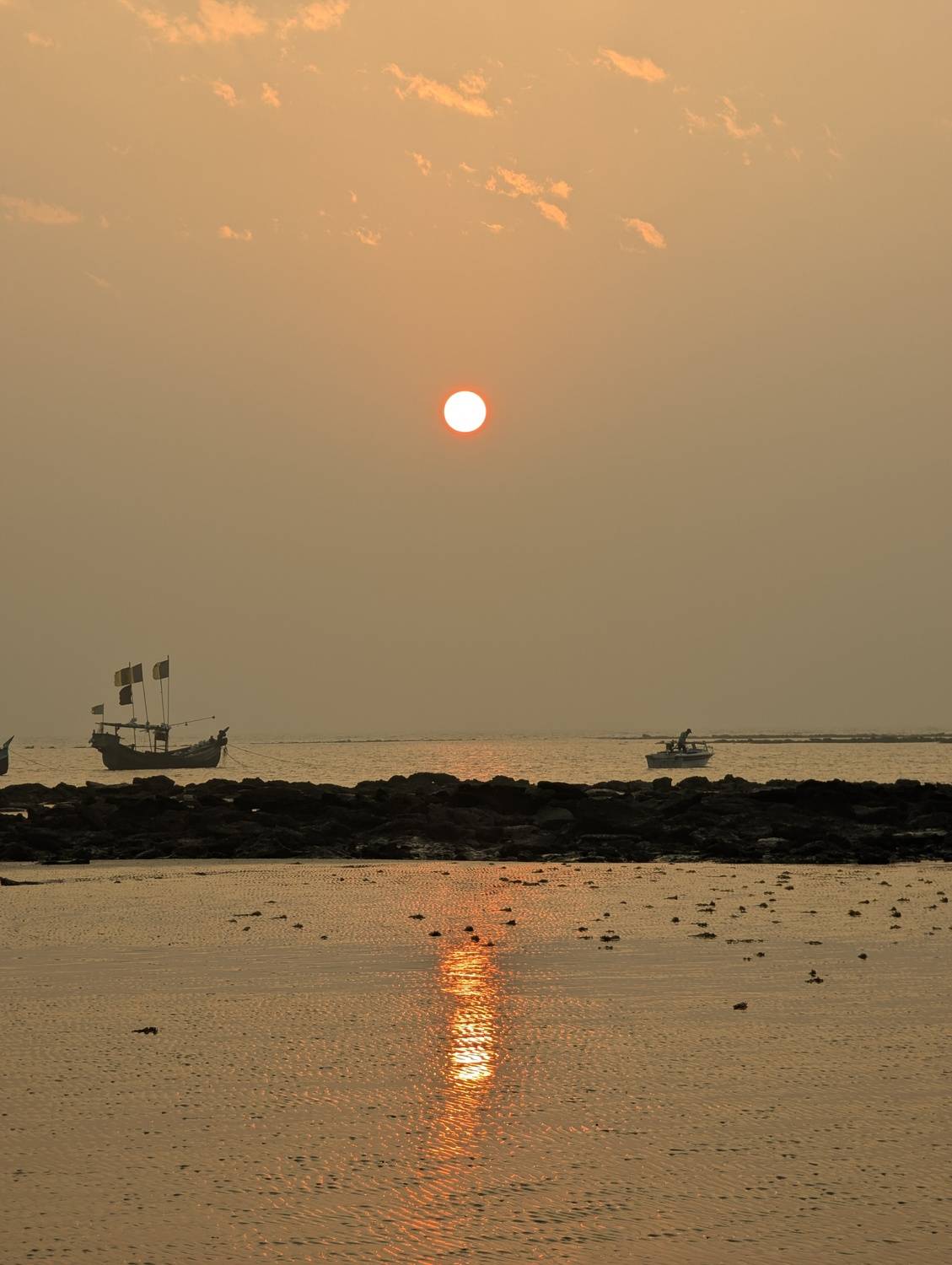 Photo #13320087