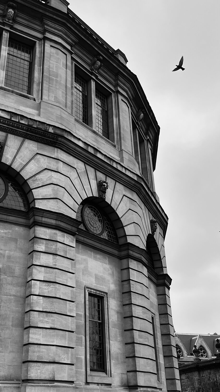 Photo #13320134
