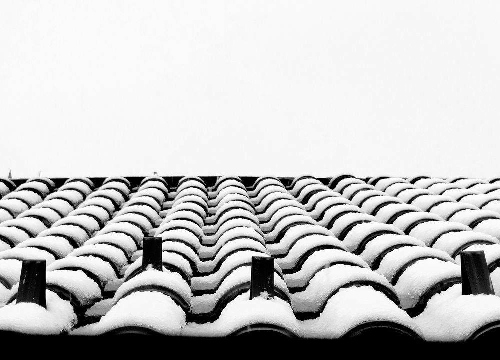 Photograph by Jelena Žarevac