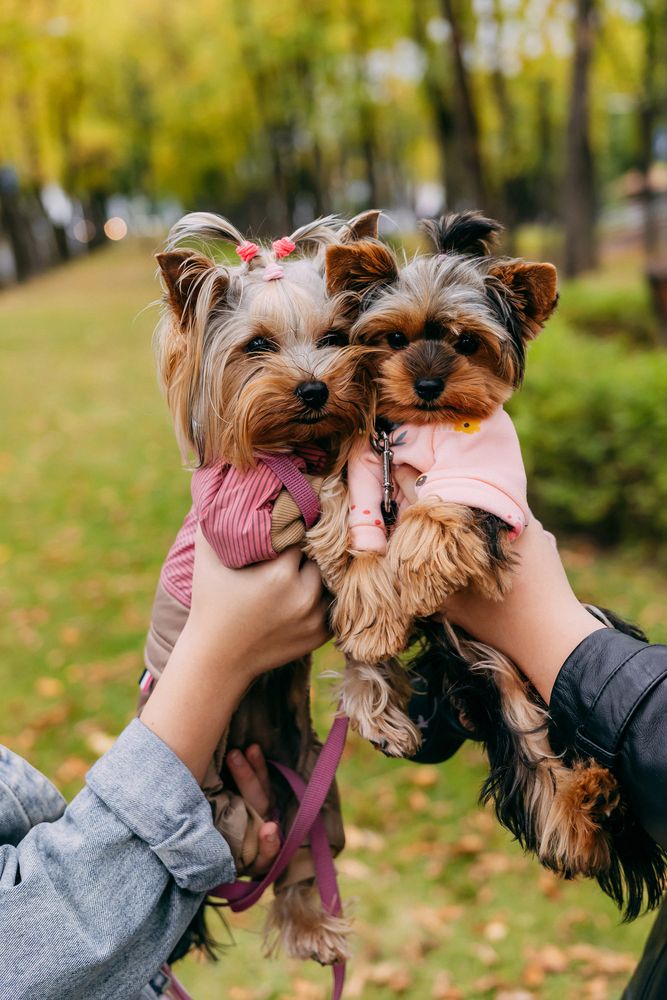 Photograph by Анастасия Модель