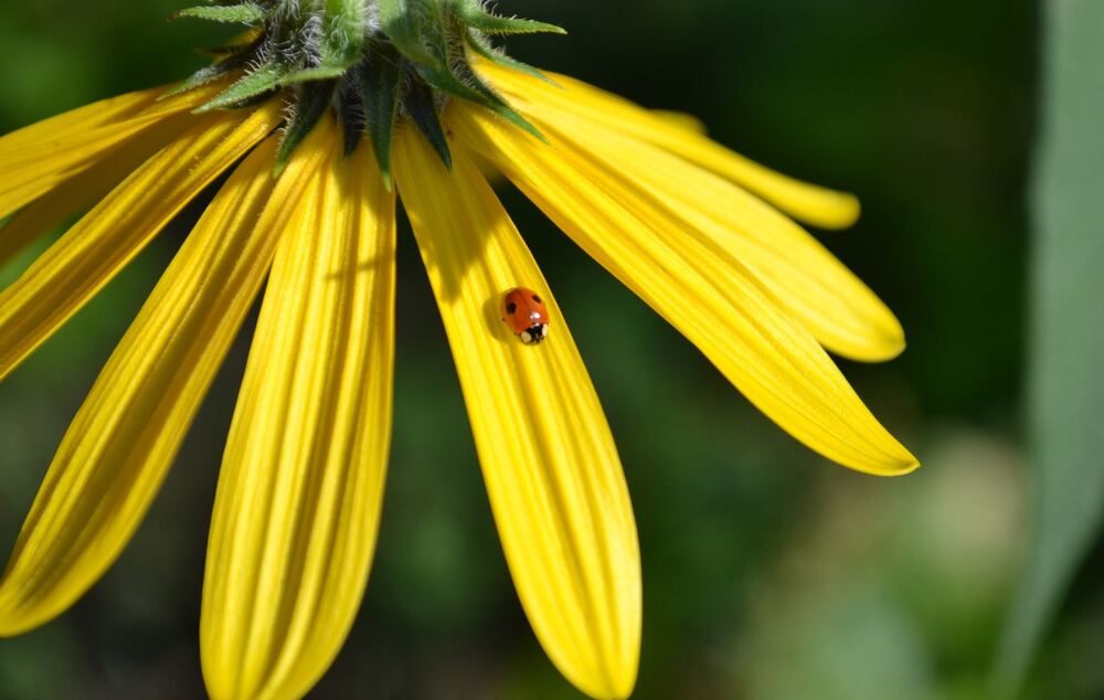 Photograph by Анастасия Киселёва