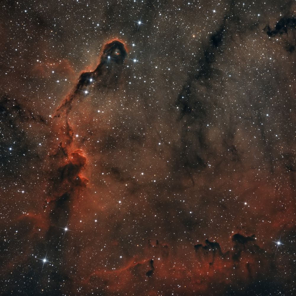 Photograph by ANDREI KOROTKOV