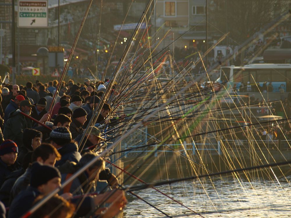 Photograph by Yasar Sudar