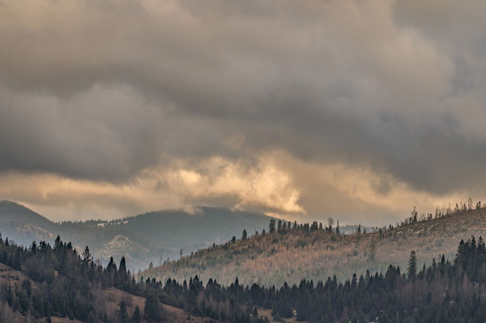 Photograph by vladimir dieiev