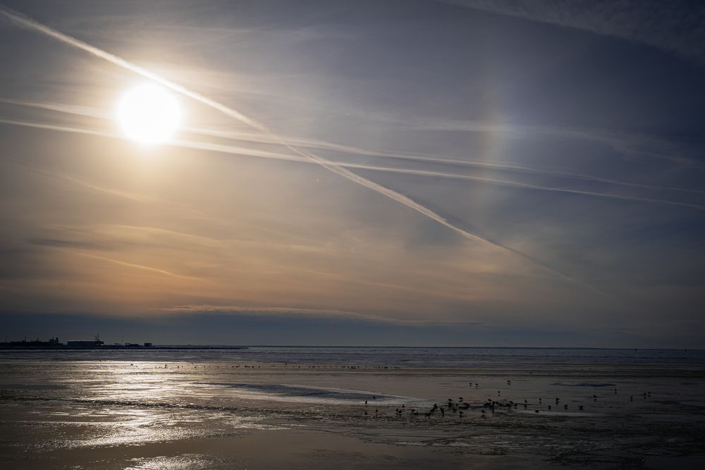 Photograph by Татьяна Гущина