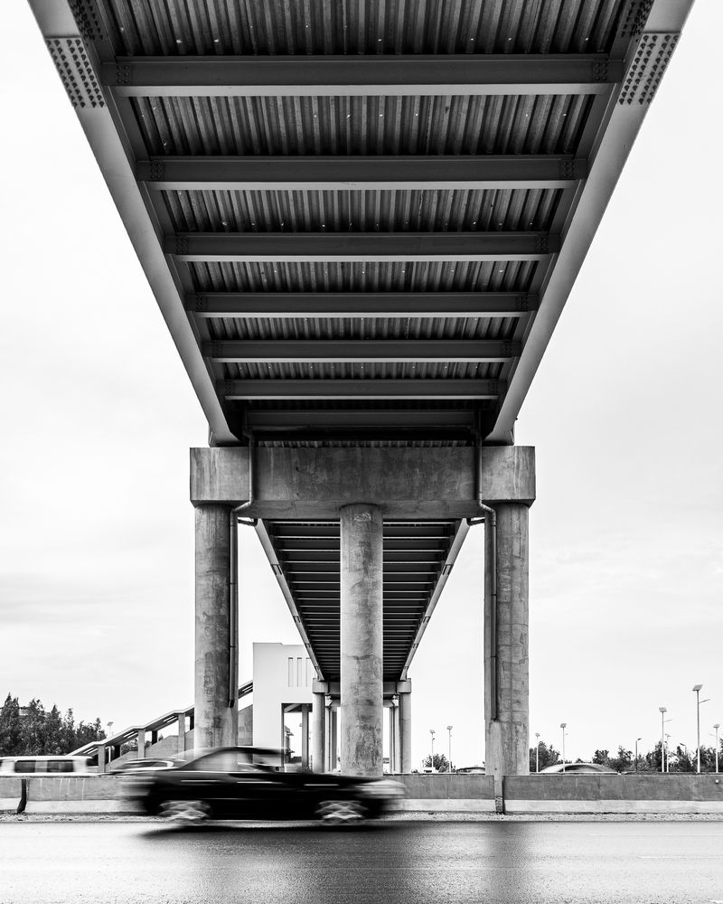 Photograph by Alaa Nour