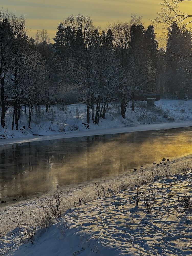 Photograph by Александра Кишикова