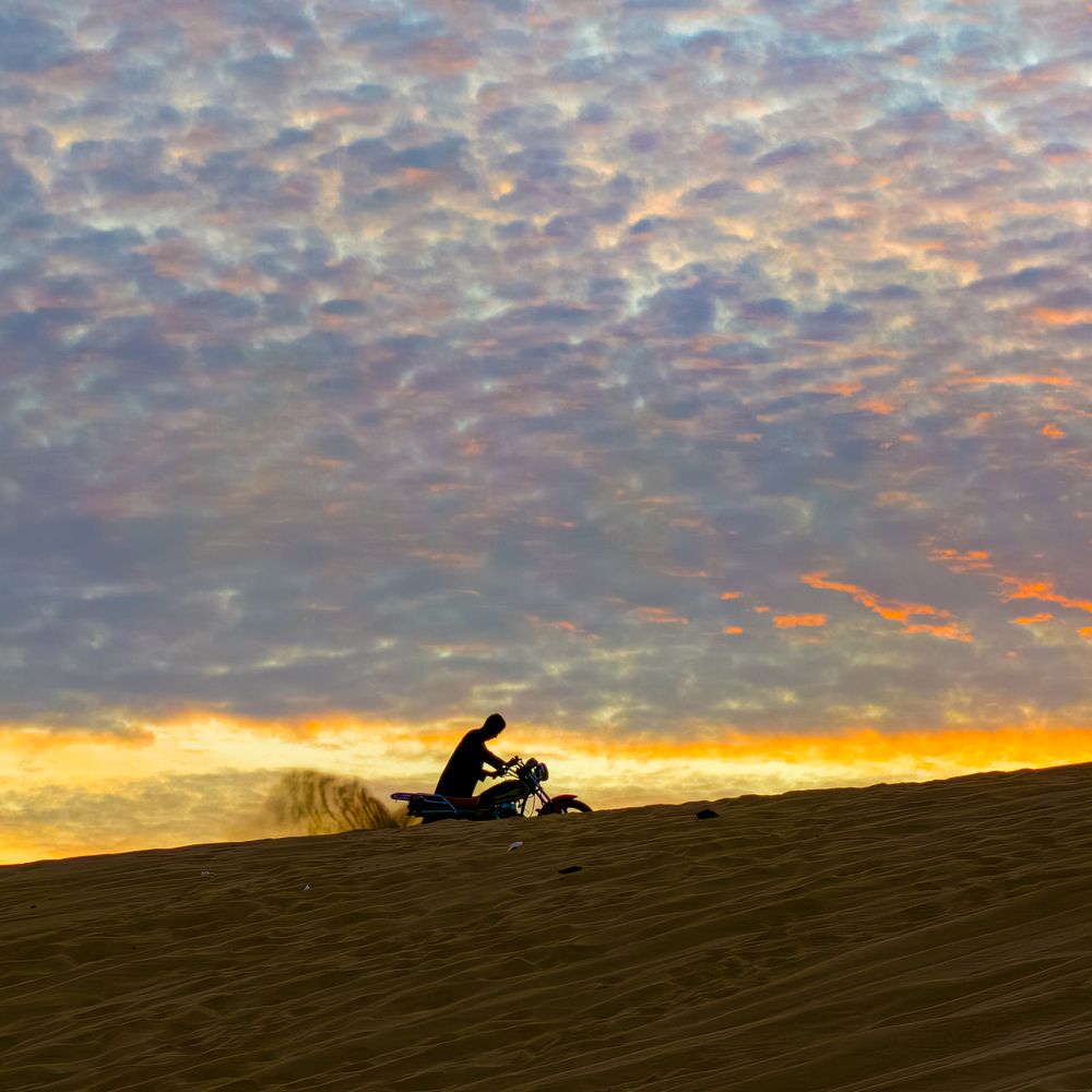 Photograph by Alaa Nour