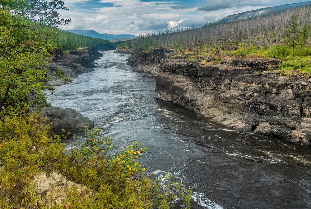 Photograph by Пешков Валерий