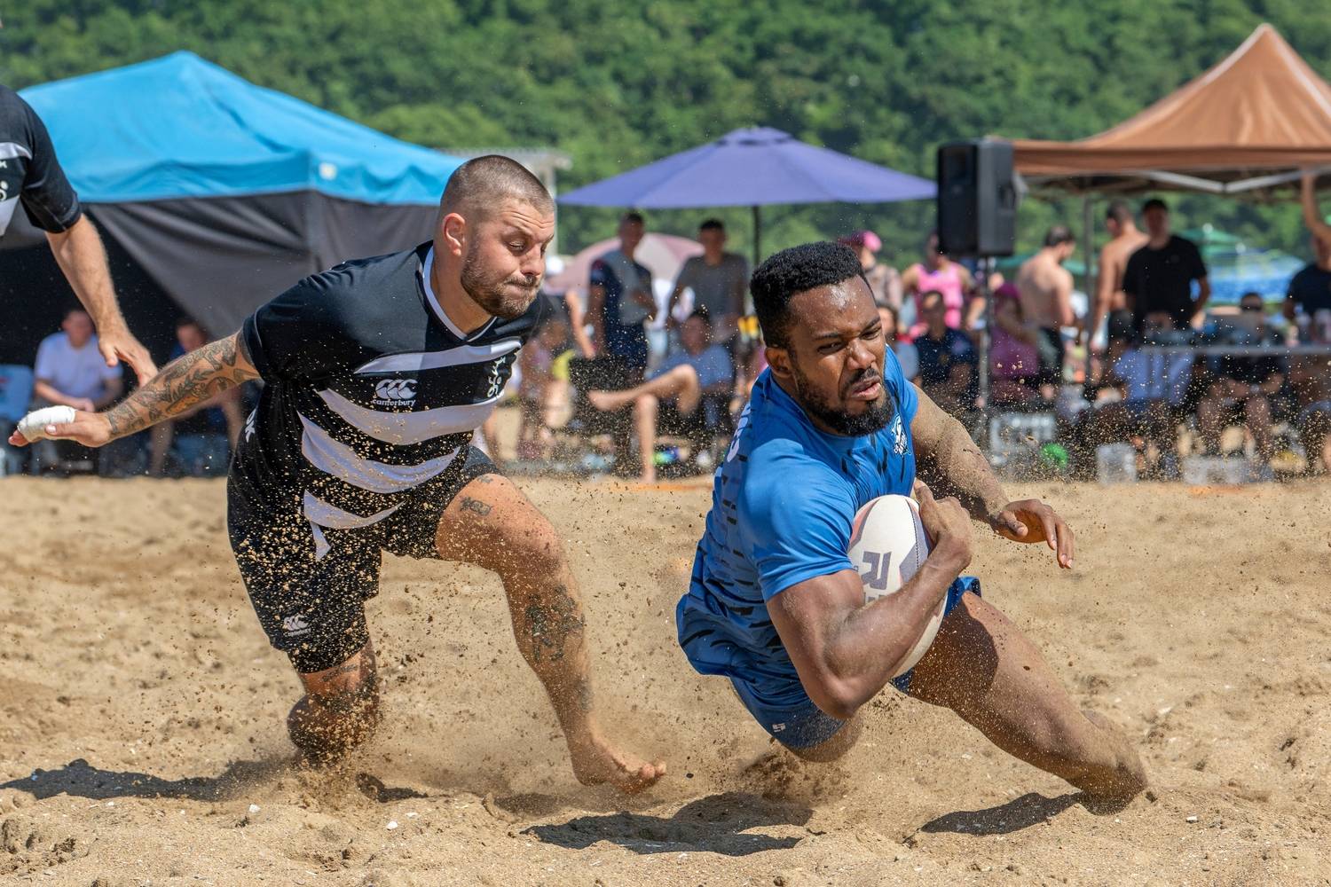 Фотография #13320544