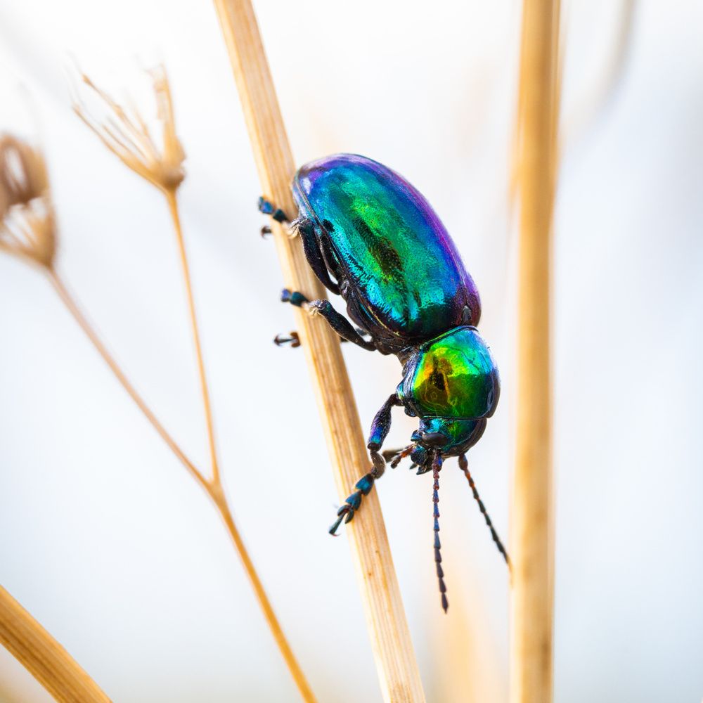 Photograph by Алексей Шматков