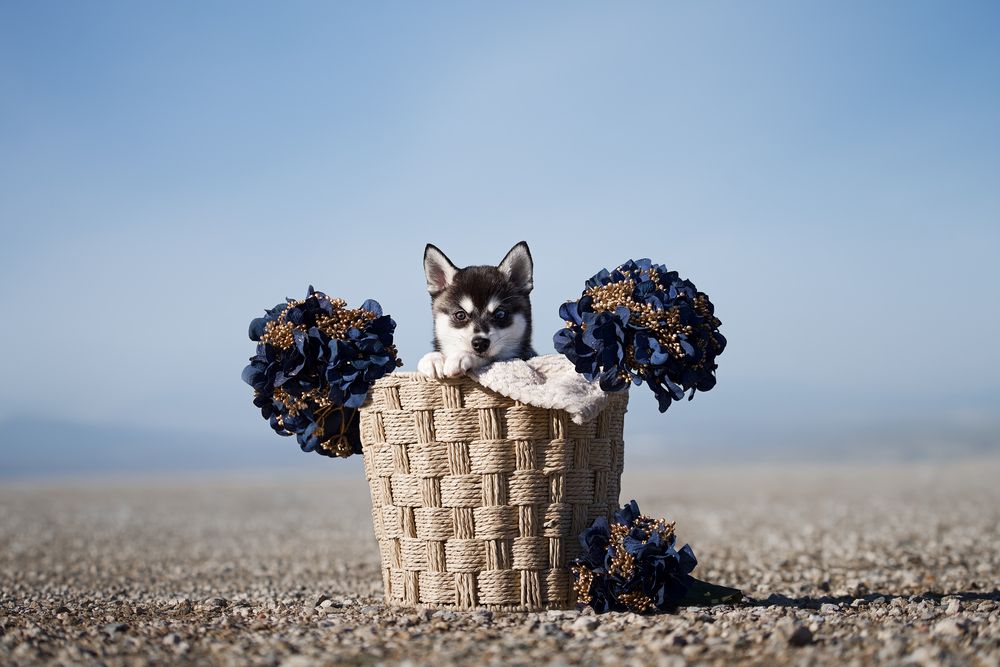 Photograph by Natalie Taylor