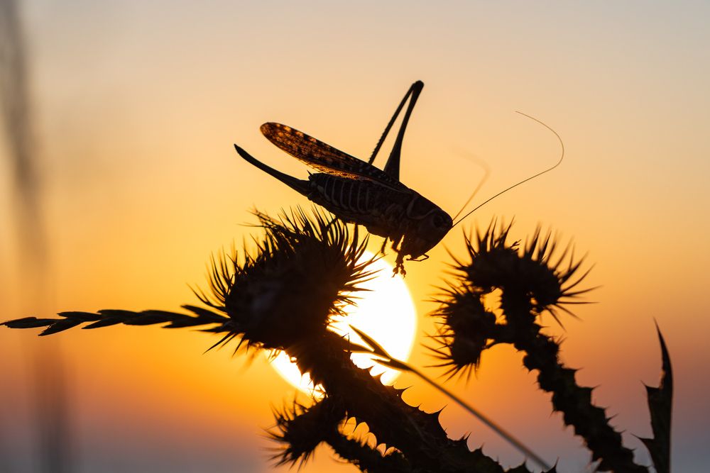 Photograph by Алексей Шматков