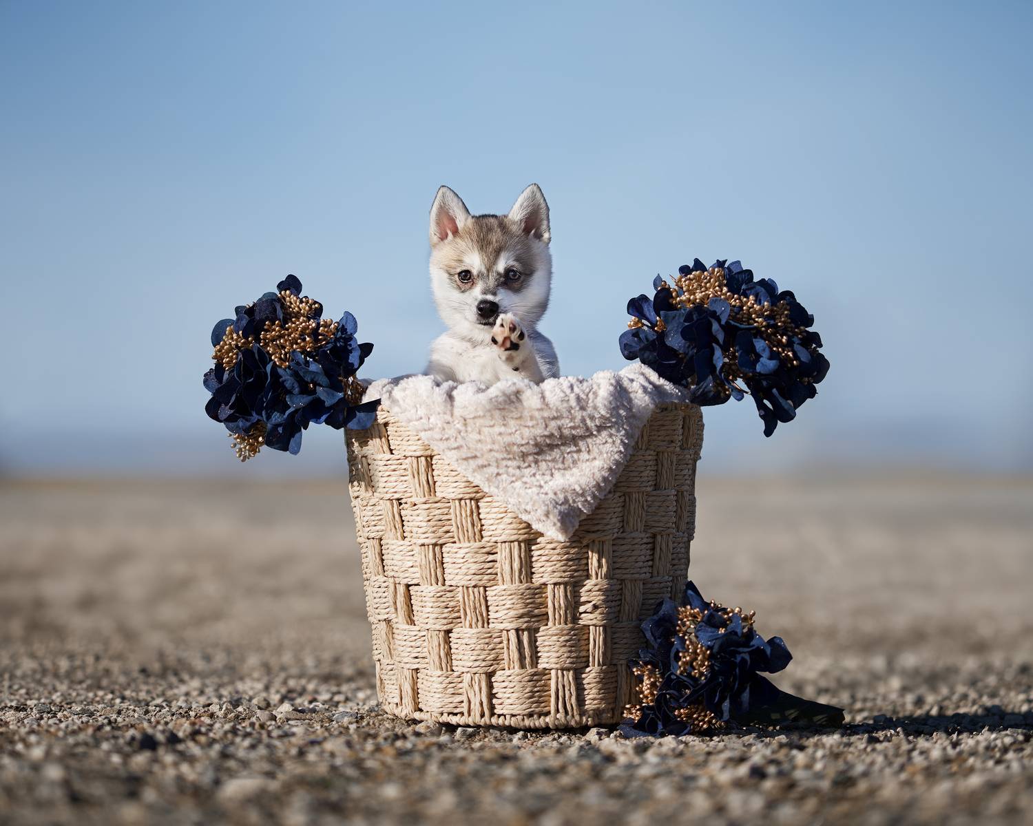 Фотография #13320591