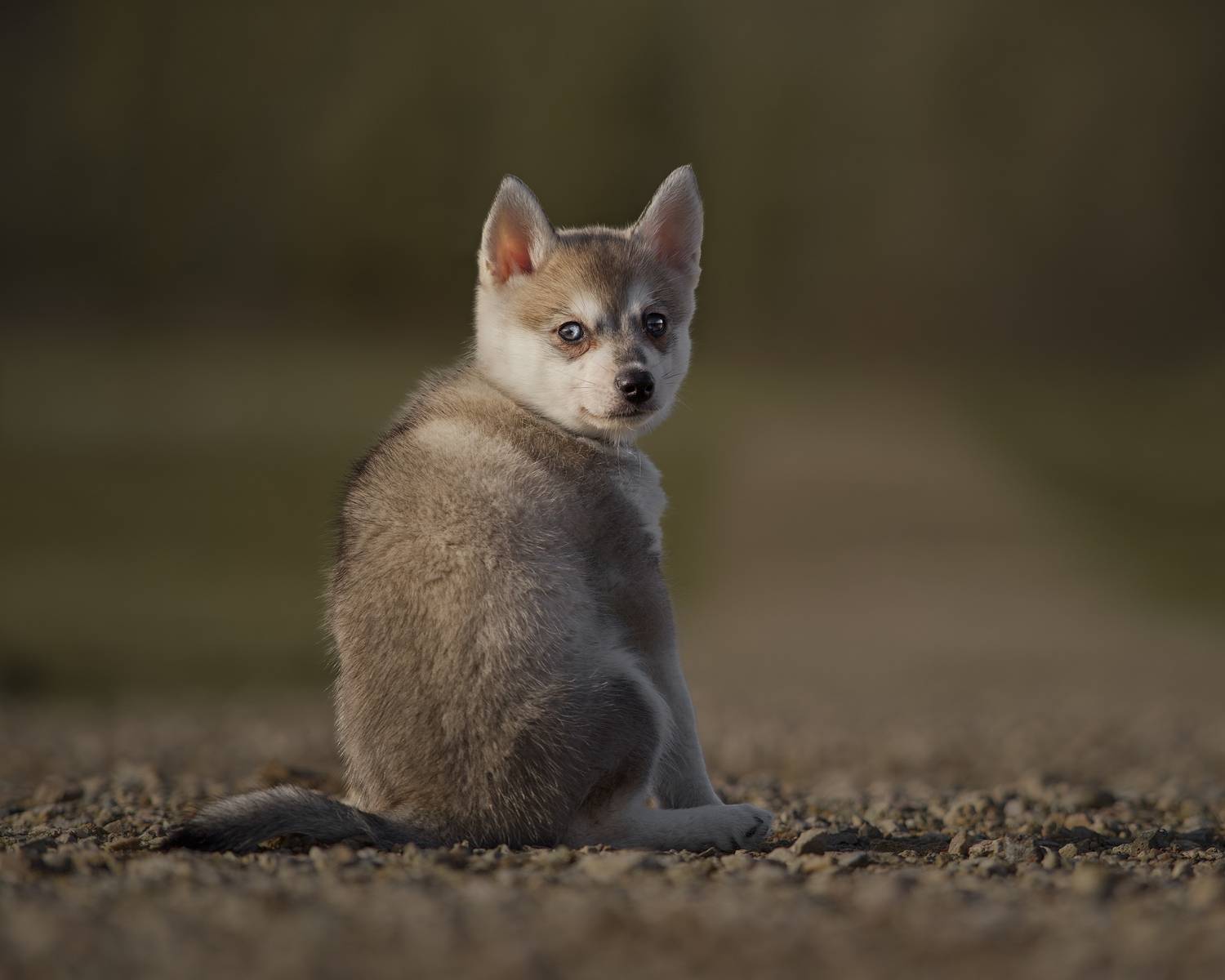 Фотография #13320594