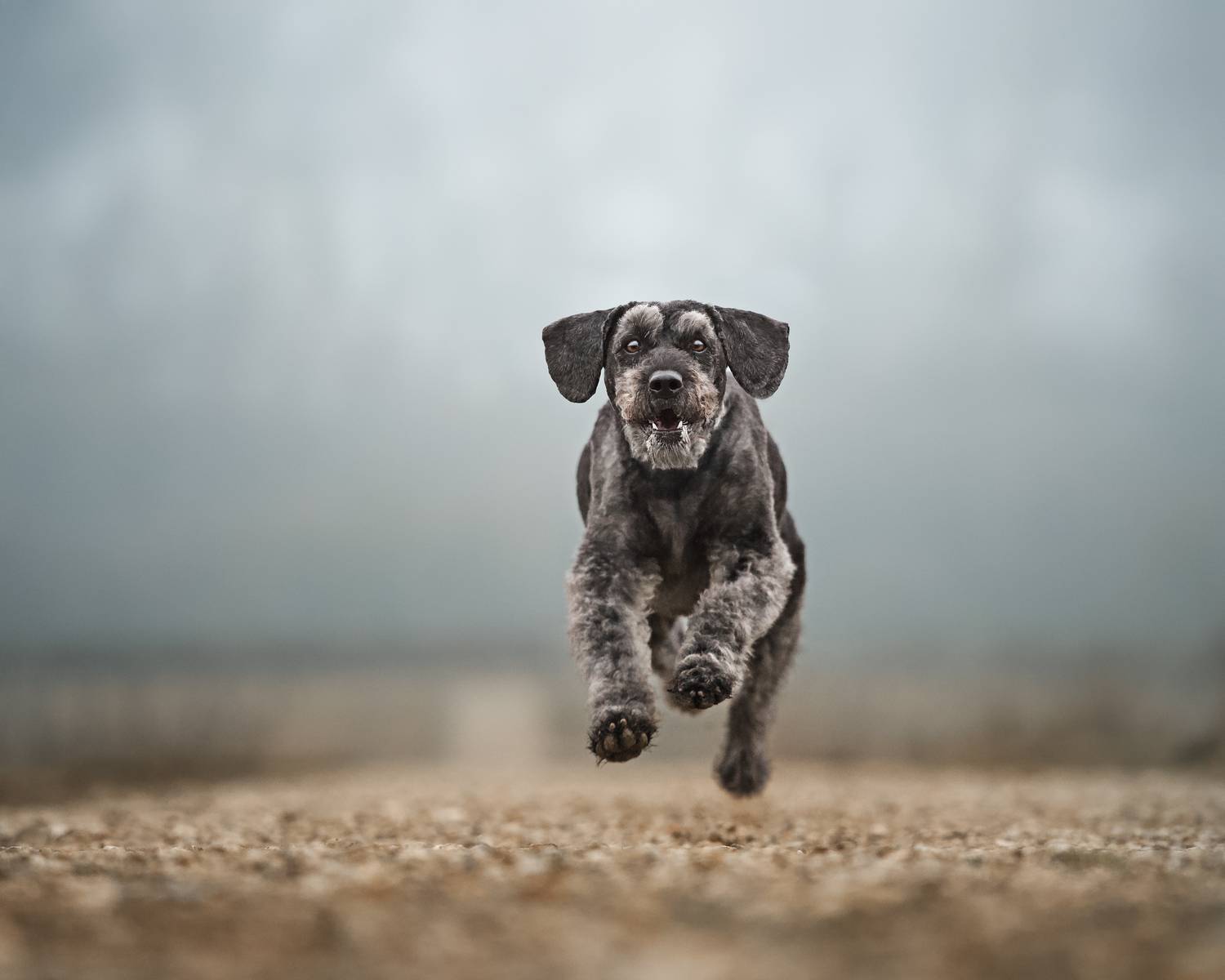 Фотография #13320606