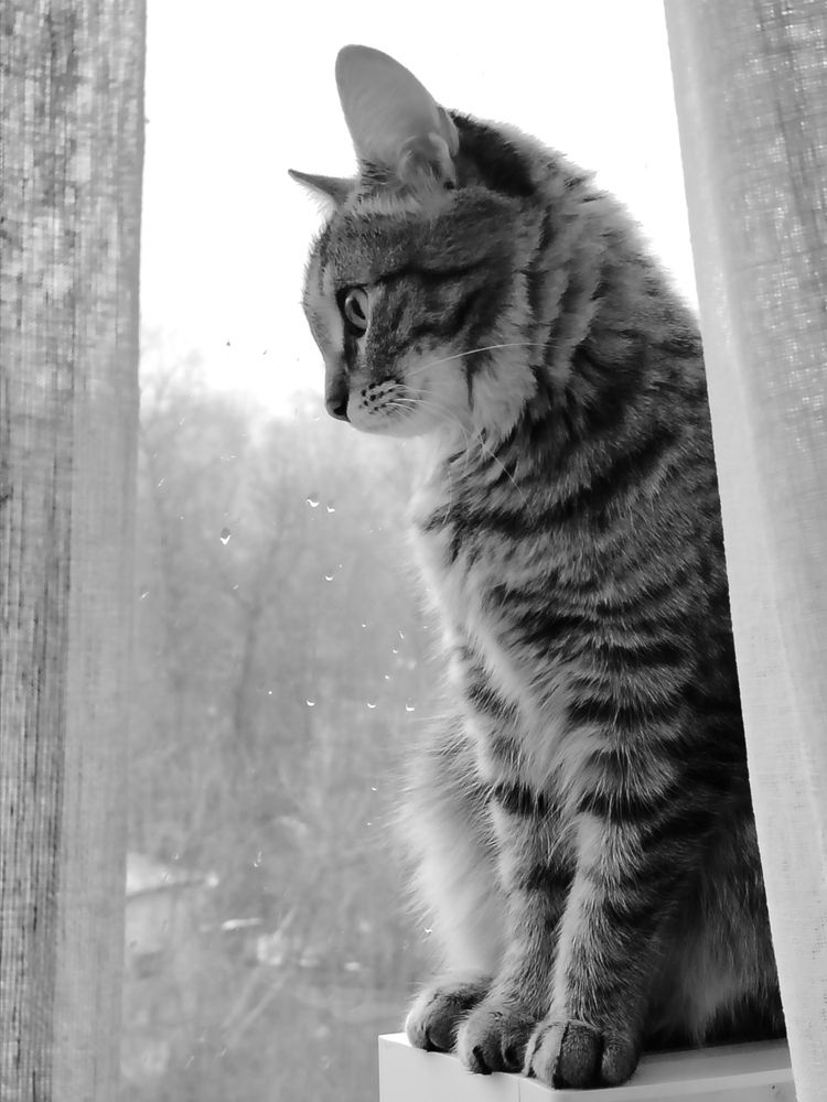 Photograph by Lyudmila Lebedeva