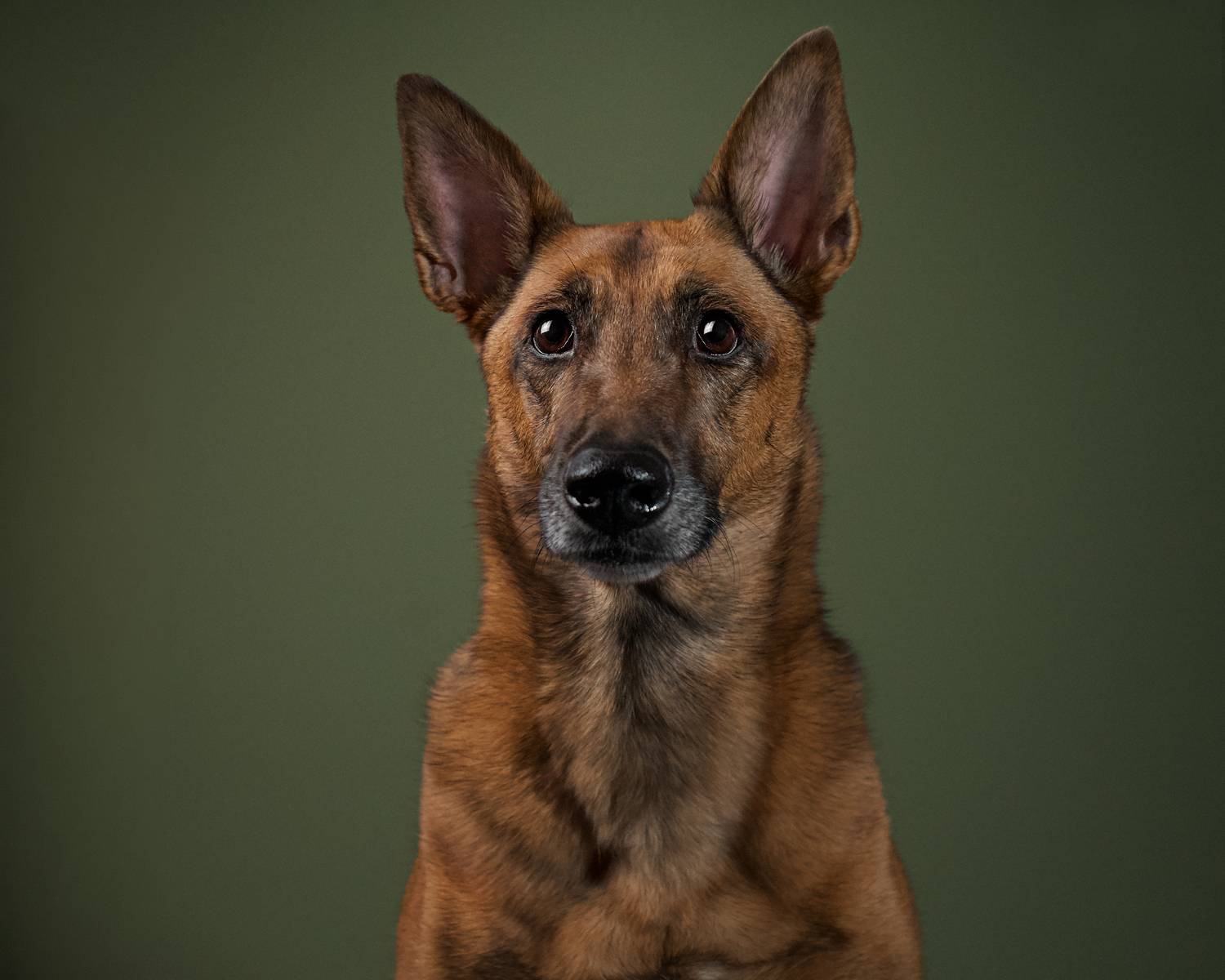 Фотография #13320617