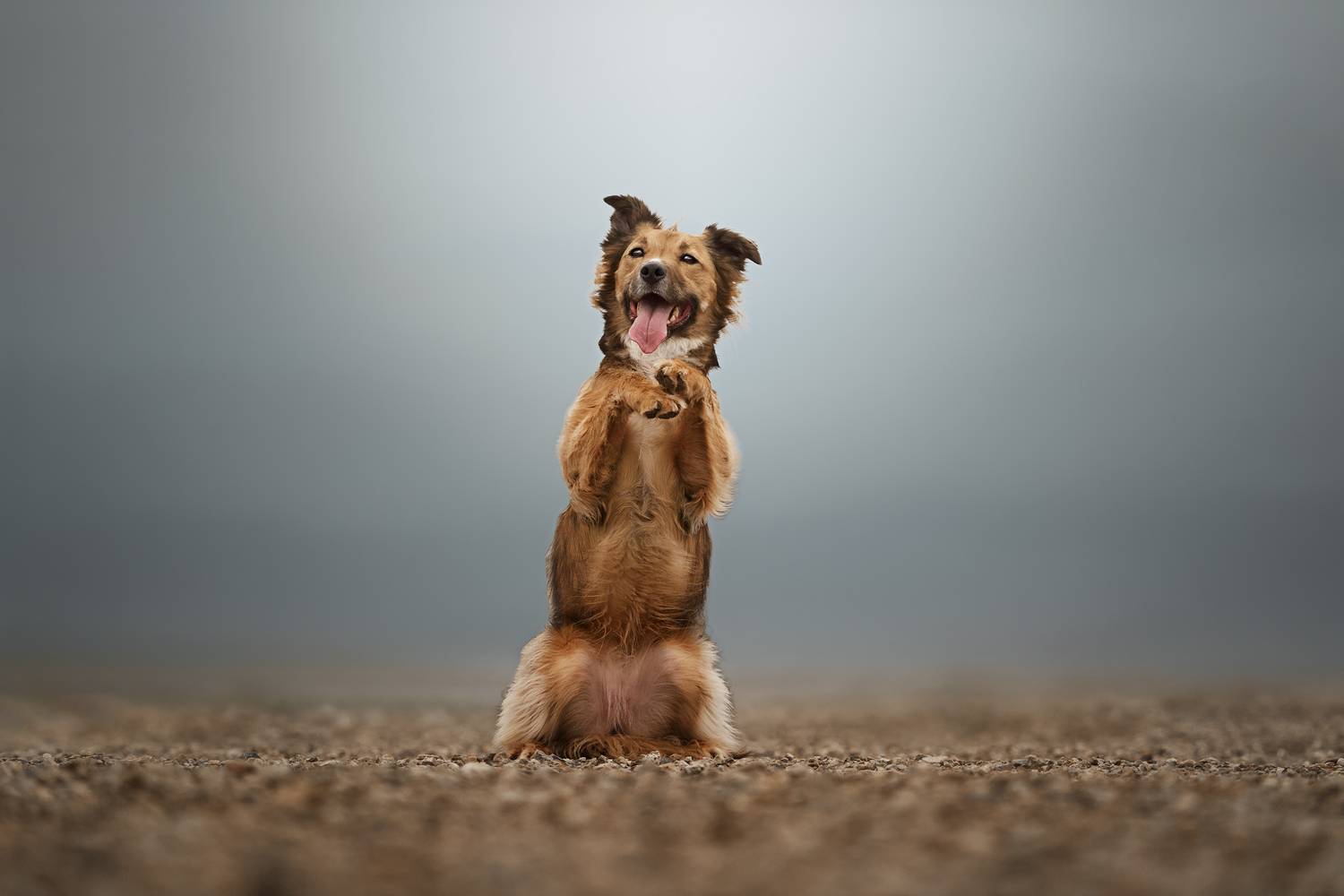 Фотография #13320626