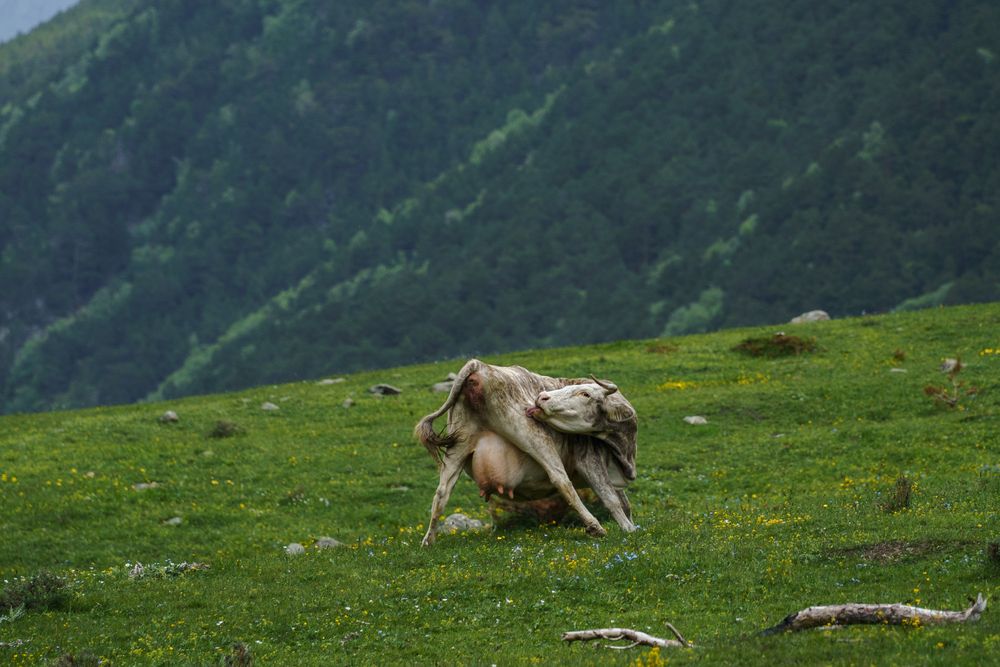 Photograph by Евгения Булычёва