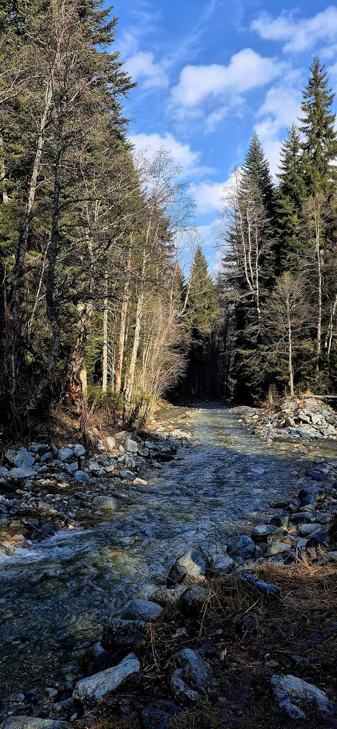 Photo #13320688