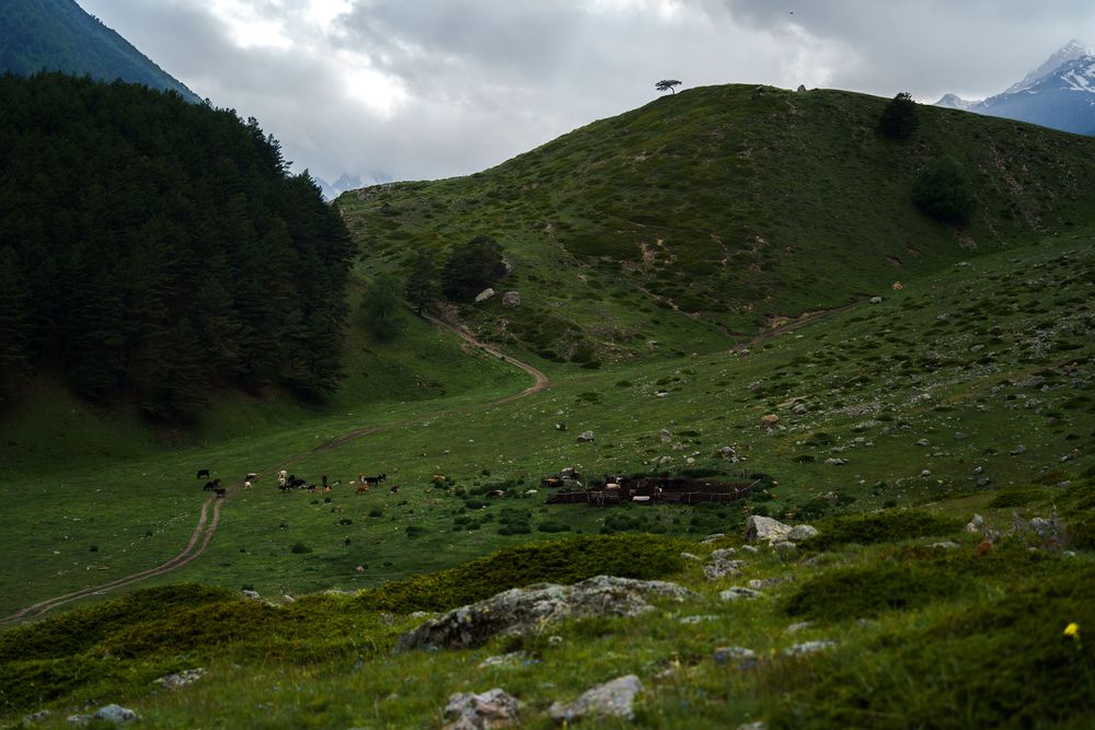 Photograph by Евгения Булычёва