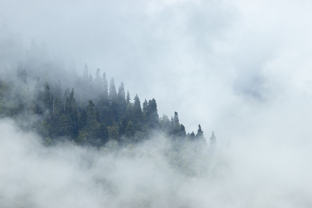 Photograph by Евгения Булычёва