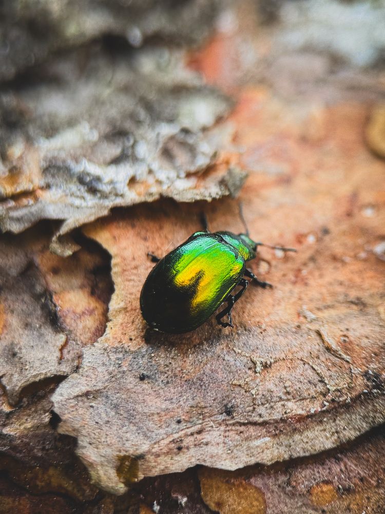 Photograph by Виктория Борисова