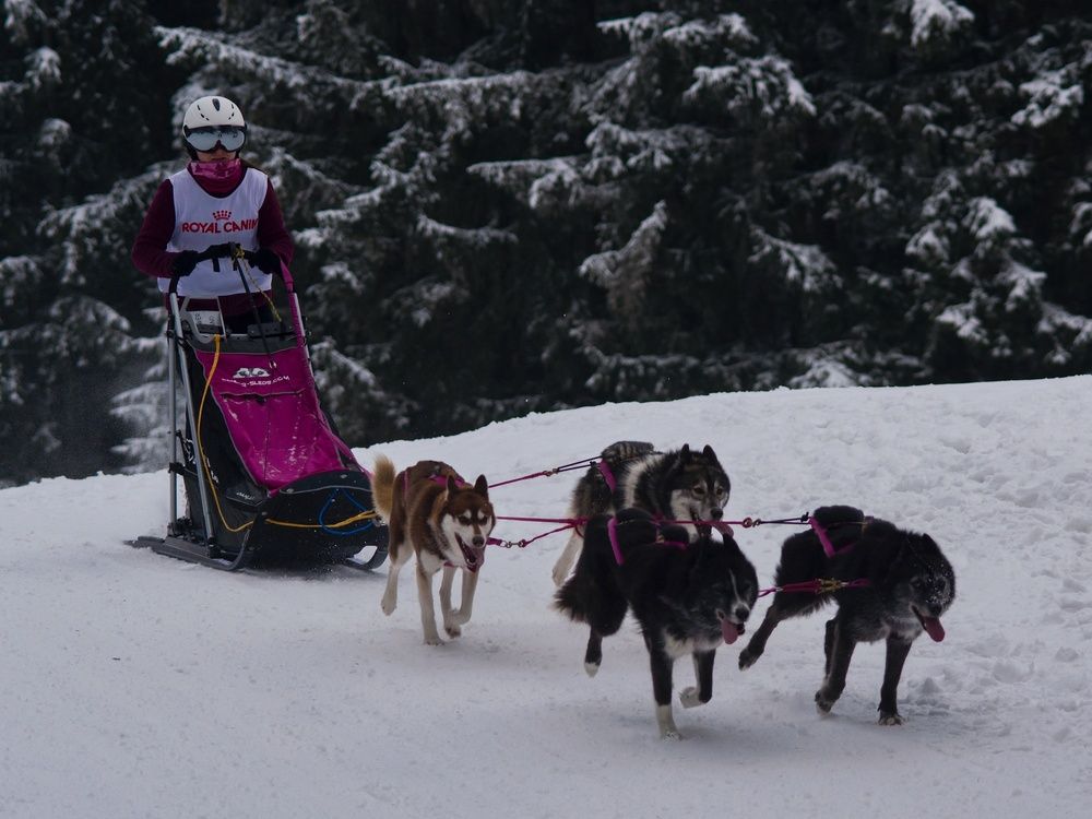 Фотография автора Peter Pochyly