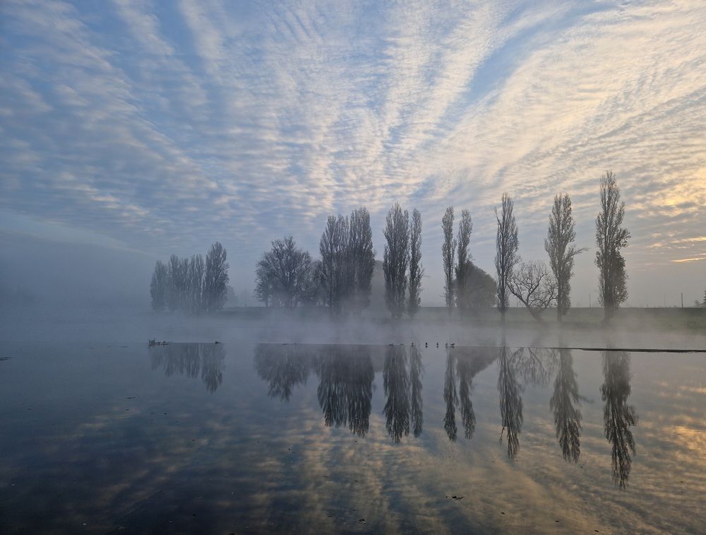 It\'s a New Day
