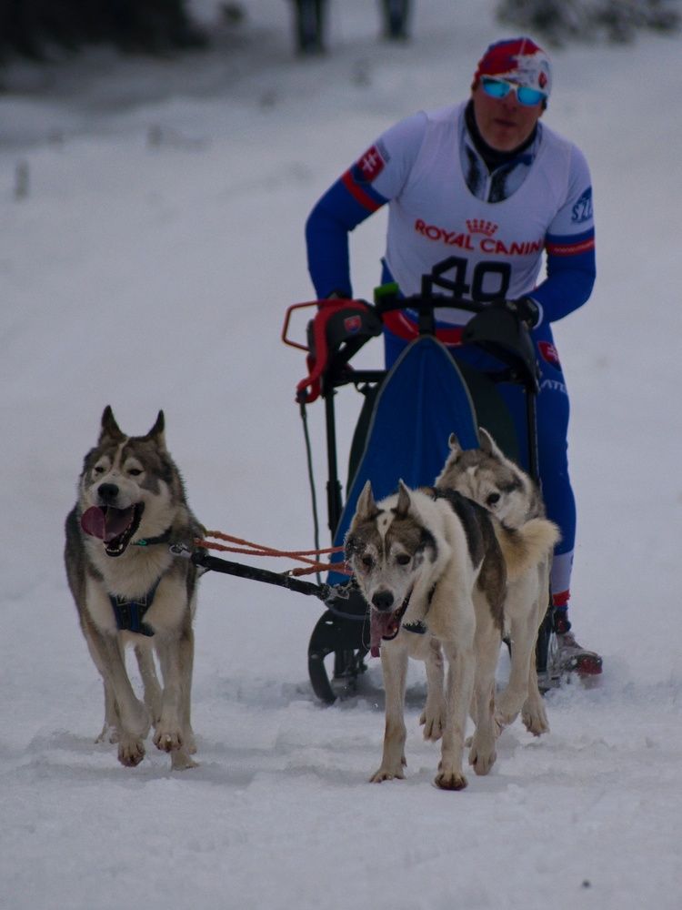 Фотография автора Peter Pochyly