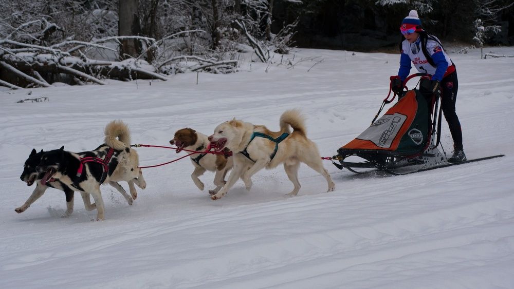 Фотография автора Peter Pochyly