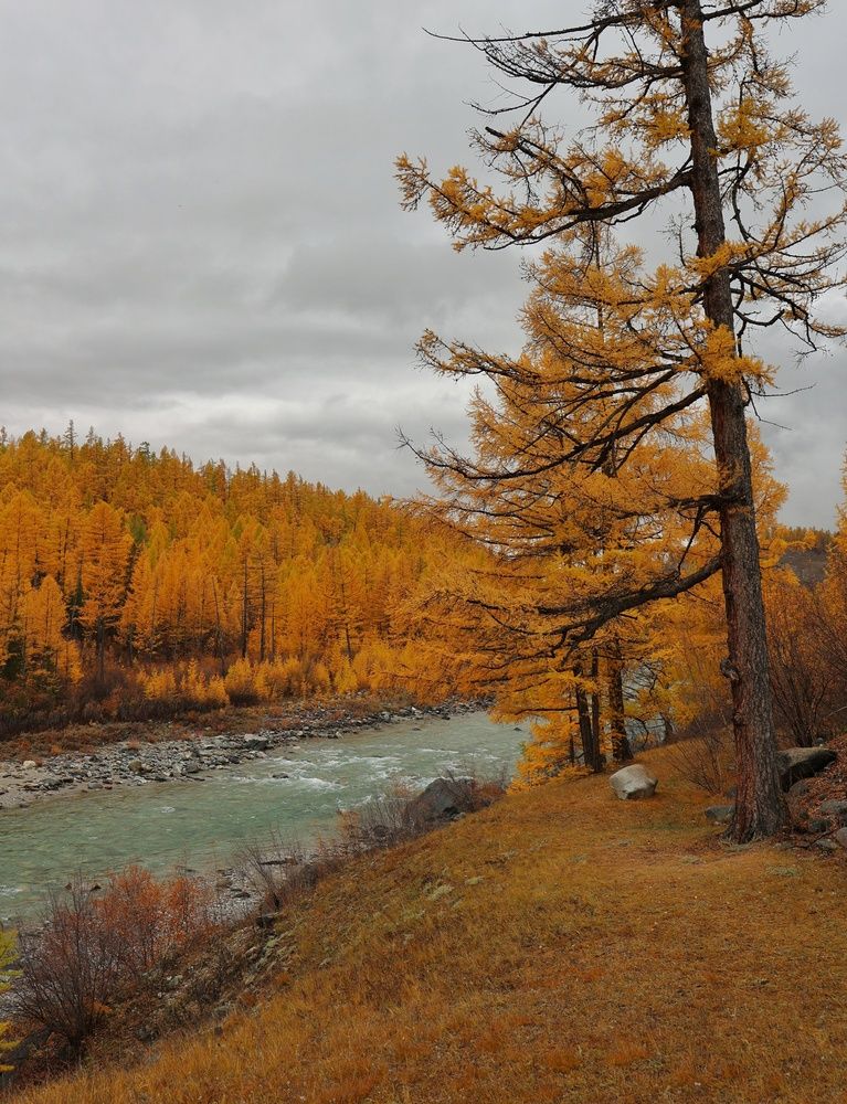 Photograph by Марина Кощеева