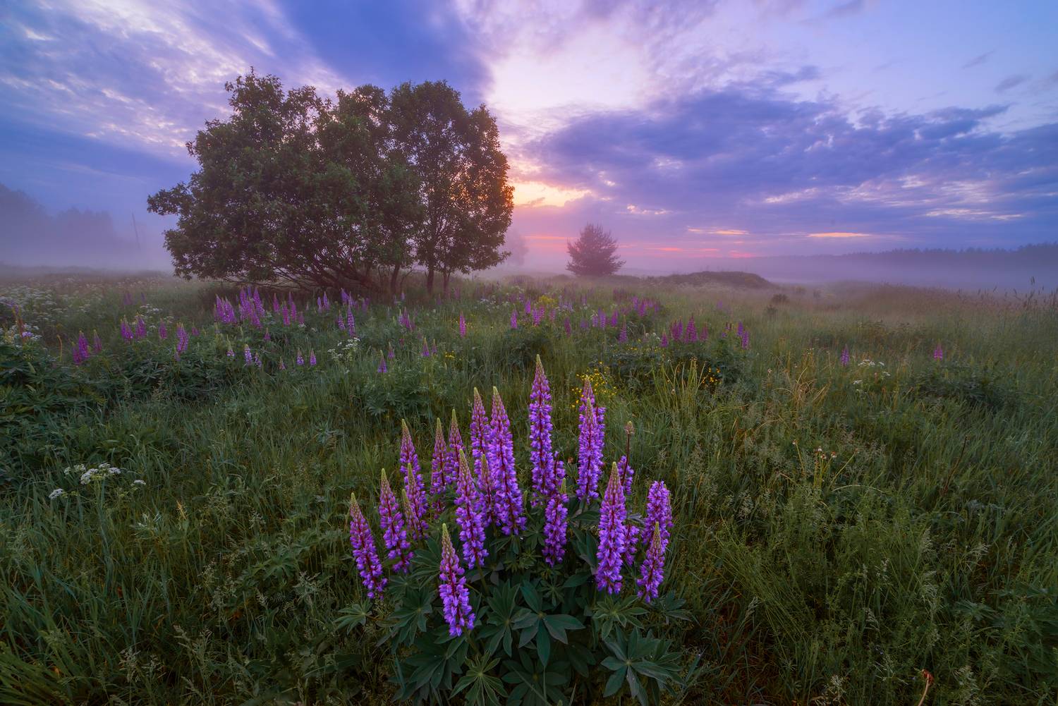 Фотография #13320848