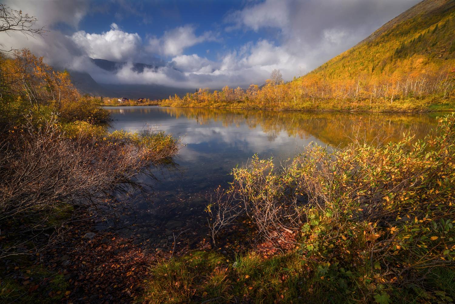 Фотография #13320850