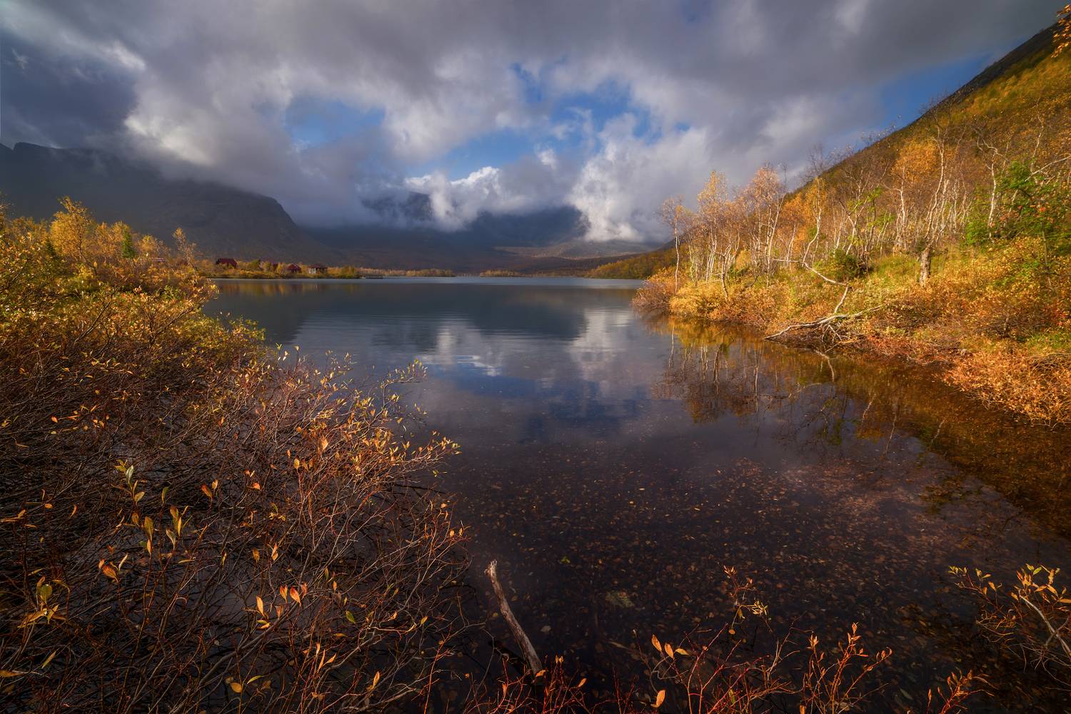 Фотография #13320857