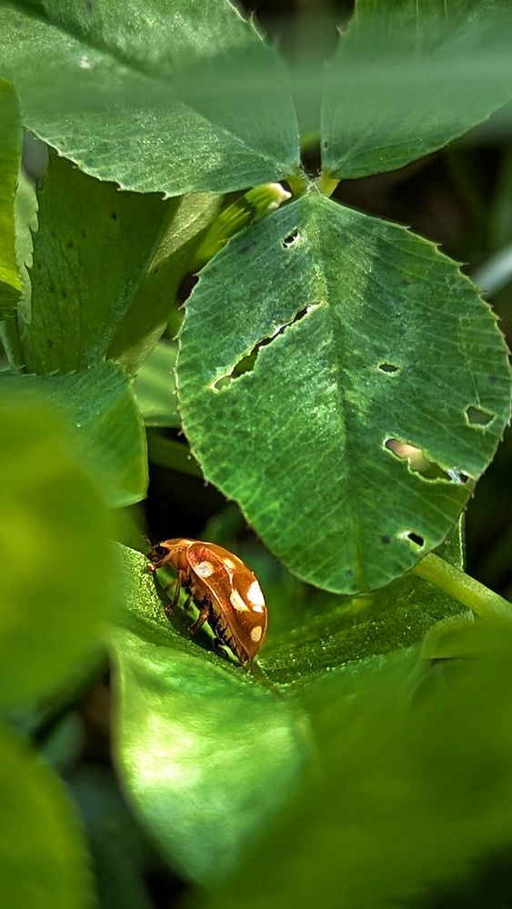 Photograph by Ирина Багдасарова