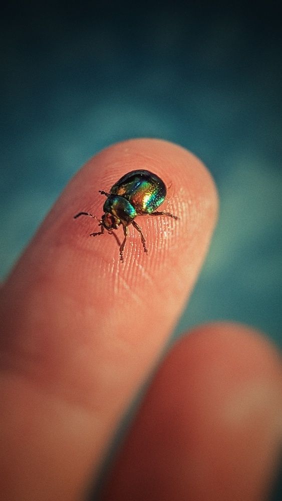 Photograph by Ирина Багдасарова